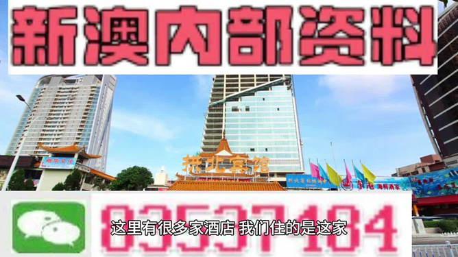2004新澳精准资料免费提供｜精选解释解析落实