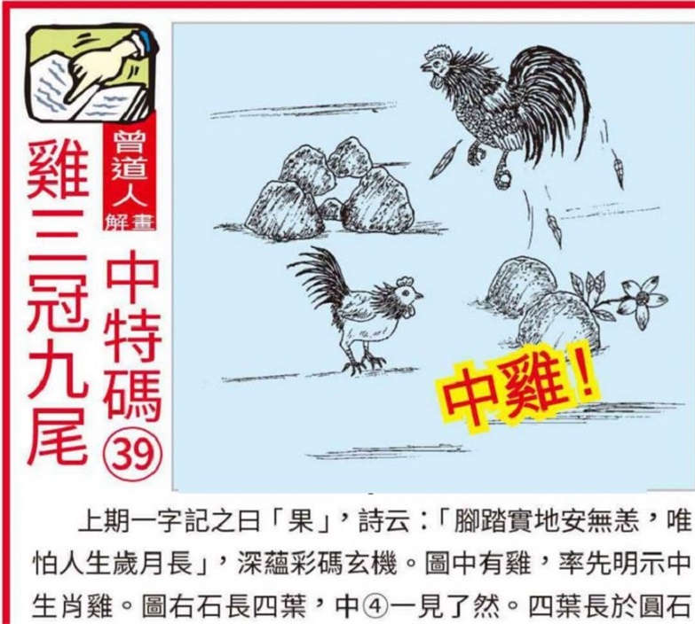 简报 第7页