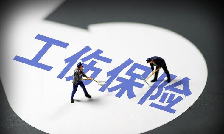 2024全年资料免费大全功能｜精选解释解析落实